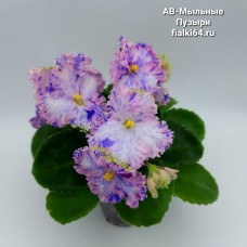 АВ-Мыльные Пузыри