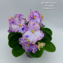 АВ-Мыльные Пузыри