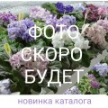 СВ-Город Чегем 