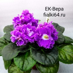 ЕК-Вера