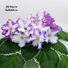 ЛЕ-Настя (Лебецкая)  