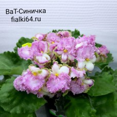 ВаТ-Синичка (Валькова)