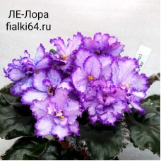 ЛЕ-Лора (Лебецкая)