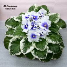 ЛЕ-Владимир (Лебецкая)