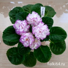 Фея (Дадоян)
