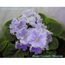 Песня Сольвейг (Макуни)