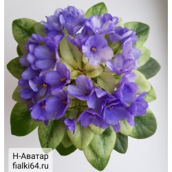 Н-Аватар (Бердникова) 
