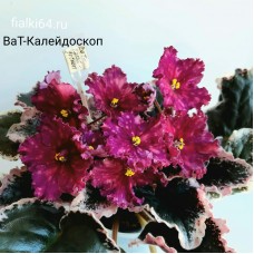 ВаТ-Калейдоскоп (Валькова) 