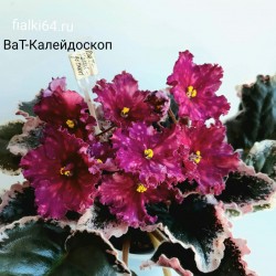ВаТ-Калейдоскоп (Валькова) 